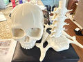 Scull Mask Holder Custom Orders Only